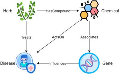 HerbKG: Constructing a Herbal-Molecular Medicine Knowledge Graph Using a Two-Stage Framework Based on Deep Transfer Learning